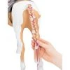 Our Generation From Hair to There Palomino Paint Horse Accessory Set for 18" Dolls -us-Our Generation Sales Shop unnamed file 17